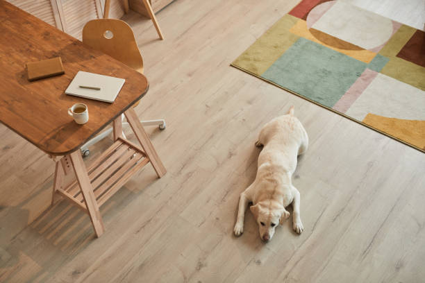 Dog Friendly Flooring