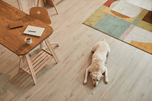 Pet-Friendly Flooring